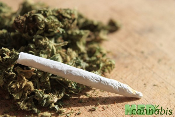 Подымает ли марихуана давление как вырастить кокаин